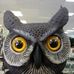 Profile Picture of Marilyn Dyer (@Marilyn-Dyer) on Facebook