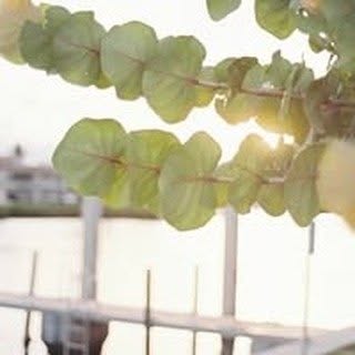 Profile Picture of Amanda Parramore (@amandaparramore_) on Instagram