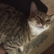 Profile Picture of Kate Starnes (@katestarnes1709) on Youtube