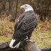 Profile Picture of Phillip Stubbs (@phillip.stubbs.758) on Facebook