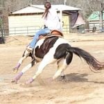 Profile Picture of 💜😈Haleigh Moody😈💜 (@haleighmoody) on Instagram