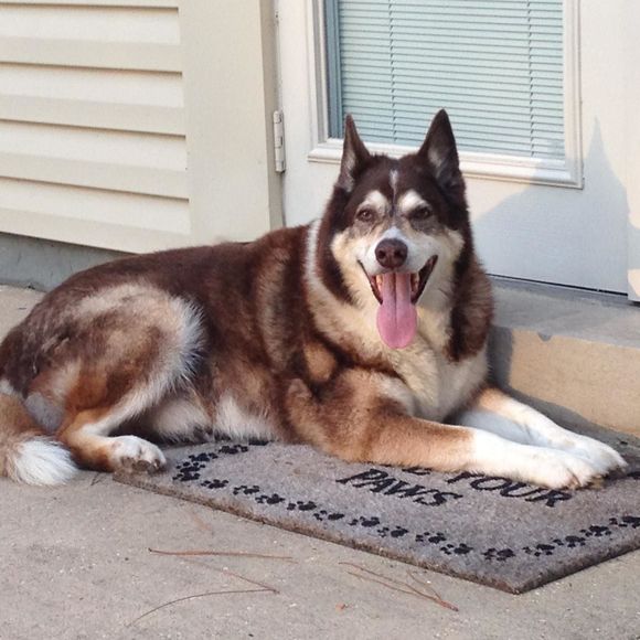 Profile Picture of Barbara Wimmler (@barbarawimmler) on Poshmark