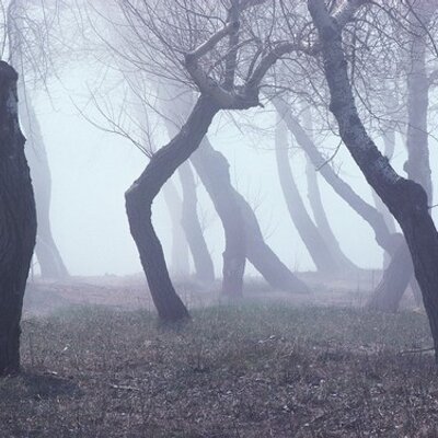 Profile Picture of Craig Jacobson (@crjnole1) on Twitter