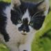 Profile Picture of Thomas Clas (@thomas.clas.5) on Facebook