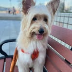 Profile Picture of James Gundran (@James-Gundran) on Facebook