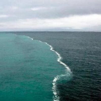 Profile Picture of Andrew Mannino (@a_mannino) on Twitter