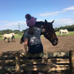 Profile Picture of Hannah Foster (@__hannah.eq) on Instagram