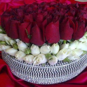 Profile Picture of Kiran Siddiqi (@kiran_siddiqi) on Twitter