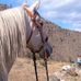 Profile Picture of Debbie Leduc (@debbie.leduc.3) on Facebook