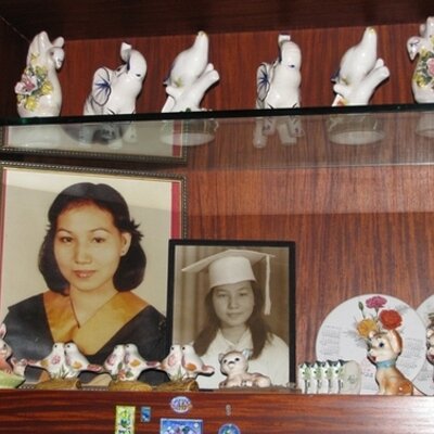 Profile Picture of Lani Jacobson (@lanijacobson) on Twitter