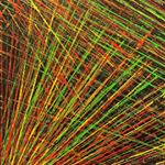 Profile Picture of Jimmy Finnegan (@scozwozzle) on Instagram