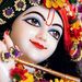 Profile Picture of Sanjay patel (@jsdpatel) on Pinterest