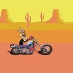 Profile Picture of Tony Rohrich (@tonyrohrich) on Instagram