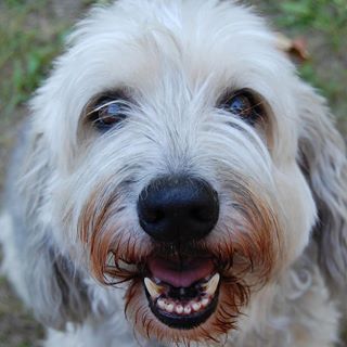 Profile Picture of Jack N Sandy Otteren (Sandy Samuelson Otteren) (@jacknsandy.otteren) on Facebook