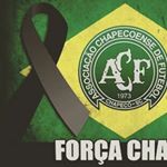 Profile Picture of Jéssica Santin Vizzotto (@jessica_vizzotto) on Instagram