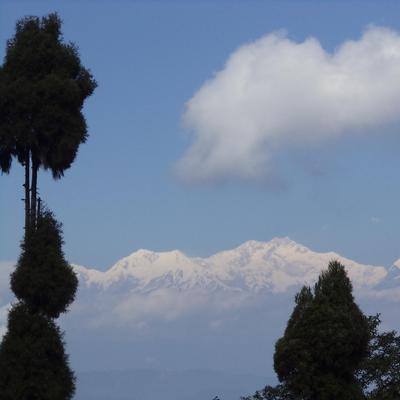 Profile Picture of Tania Chatterjee (@Tania972012) on Twitter