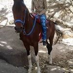 Profile Picture of tapan adhyaru (@adhyarutapan) on Instagram