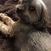 Profile Picture of Sandy Rutledge (@LoneWolfOTB) on Youtube