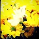 Profile Picture of bbenge (@bbenge) on Instagram