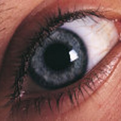 Profile Picture of Robin M. Layman (@meboylouie) on Twitter