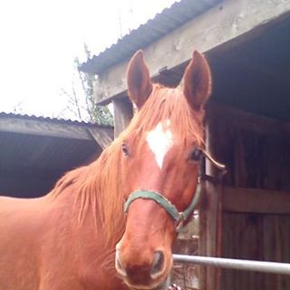 Profile Picture of Clara Poulain (@clara.nulpart) on Facebook