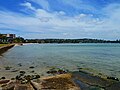 Profile Photo of Rose Bay Sea Wallon Wikipedia