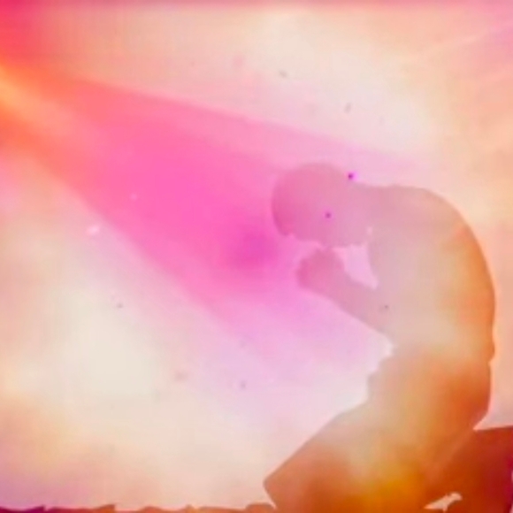 Profile Picture of Rajni Julka (@mehuljulka) on Poshmark