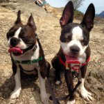 Profile Picture of Lt. Zoe & Captain Malcolm (@zoeandmalcolm) on Instagram