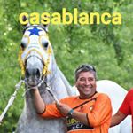 Profile Picture of jose castillo poblete (@joselubrishelljcp) on Instagram