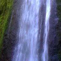 Profile Picture of Healthy Buzz/coach Kelli R (@healthy-buzz-coach-kelli-r) on Quora