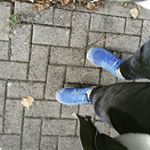 Profile Picture of Joshua Zimmer (@boshbert) on Instagram