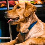 Profile Picture of Jerry 💝 (@g.o.l.d.e.n.j.e.r.r.y) on Instagram
