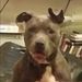 Profile Picture of Heather Clardy (@hclardy2008) on Pinterest