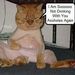 Profile Picture of Nancy Weigel (@travispro45) on Pinterest