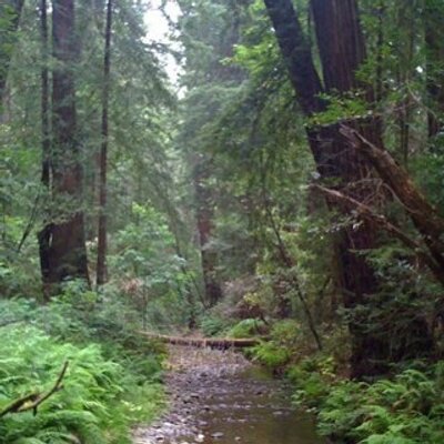 Profile Picture of Chris Cirillo (@zephon01) on Twitter