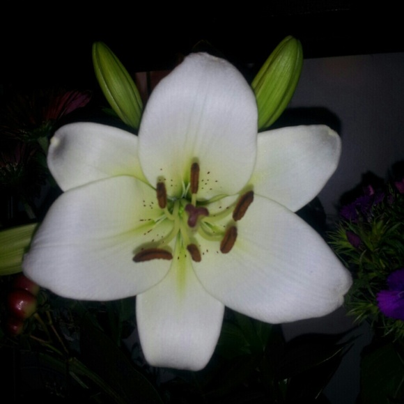 Delvia Gonzalez - Poshmark Profile Picture of Delvia Gonzalez (@flor2) on Poshmark