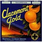 Profile Picture of Robin Young (@romeo_delta_yankee) on Instagram