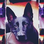 Profile Picture of stephanie and jackie hagen (@hagen277) on Instagram