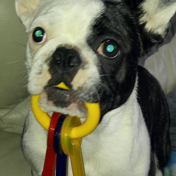 Profile Picture of Sonya Lamarre (@soso947) on Poshmark