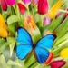 Profile Picture of Julianna Crowell (@crowell2241) on Pinterest