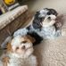 Profile Picture of Paul Kulas (@paul.kulas.100) on Facebook