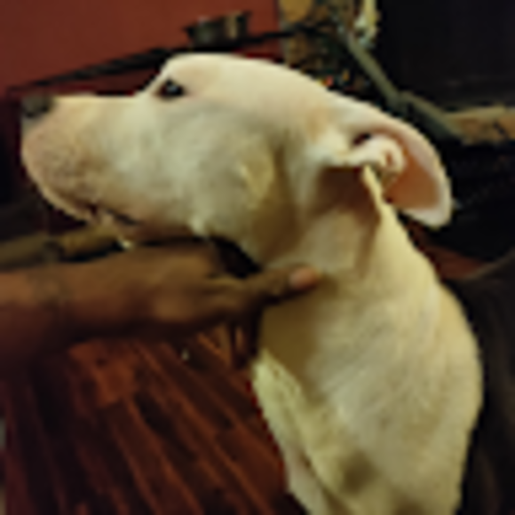 Profile Picture of Nicholas Parmley (@nicholasparmley) on Poshmark