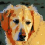 Profile Picture of Rosemary Cooley (@rosemary.cooley.56) on Instagram