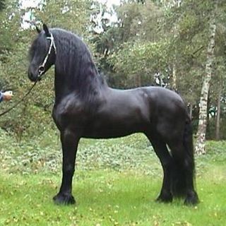 Profile Picture of Pablo Derueda (@pablo.derueda.3) on Facebook