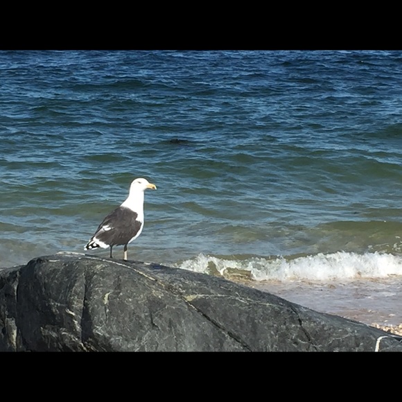 Profile Picture of Erica Posniak (@epos) on Poshmark