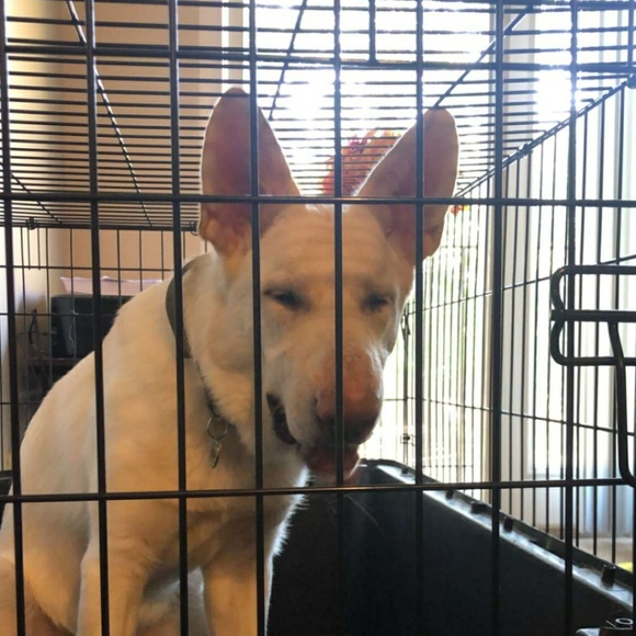 Profile Picture of Tyler Steinberger (@tyfighter907) on Poshmark