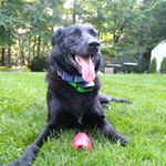 Profile Picture of Alec cyfko (@aleccyfko17) on Instagram