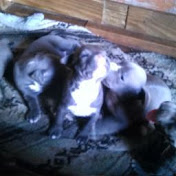 Profile Picture of Devin Andrews (@devinandrews383) on Youtube