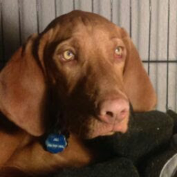 Profile Picture of Konrad Ferber (@konradferber) on Poshmark