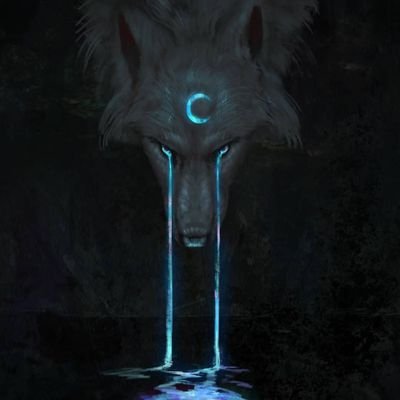 Profile Picture of Jeff Phoenix (@JeffPhoenixWoo1) on Twitter